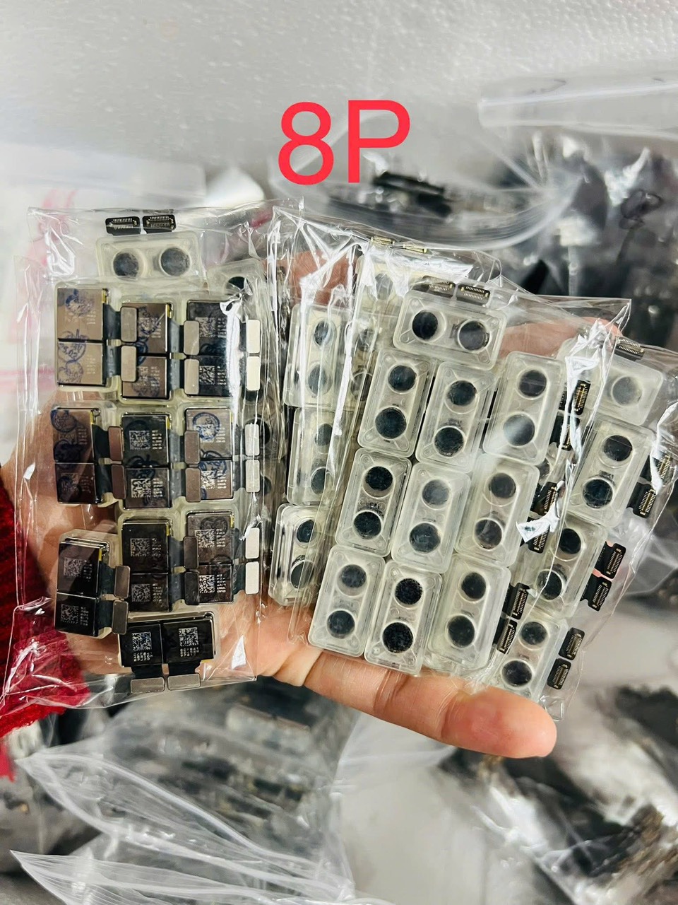 Camera trước - sau iPhone 8 Plus