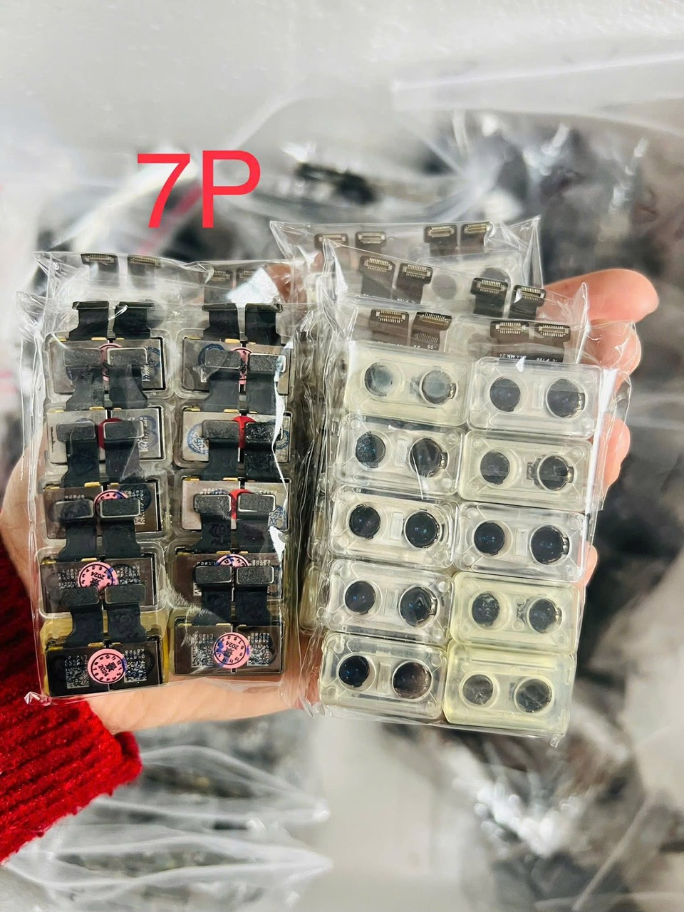 Camera trước - sau iPhone 7 Plus