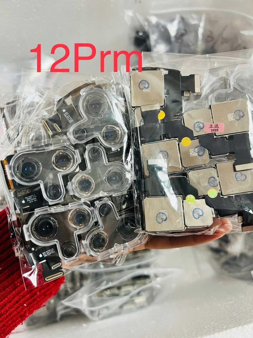 Camera trước - sau iPhone 12 Promax